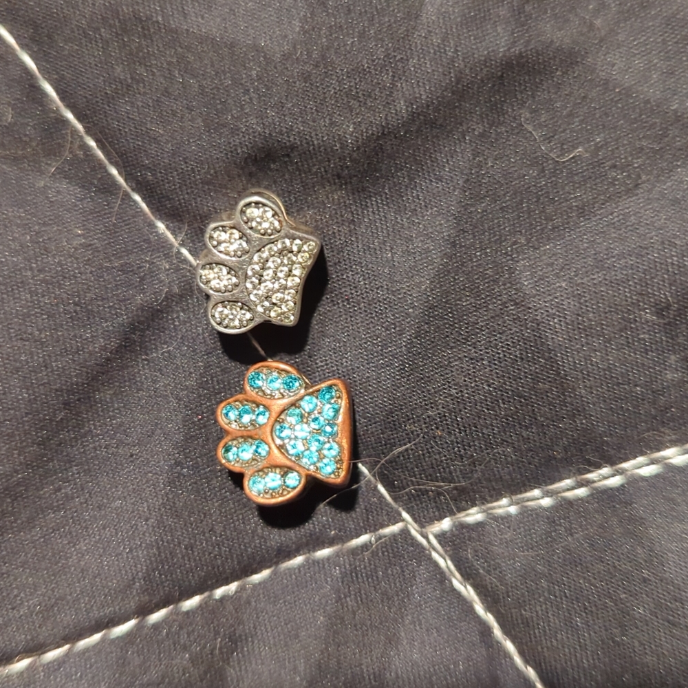 Pawl charms